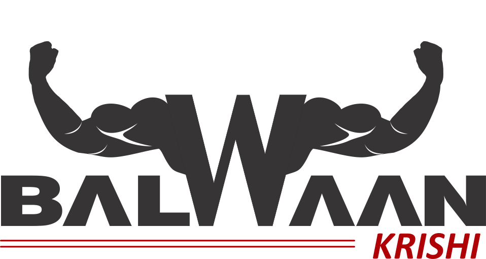 Balwaan logo – link to website